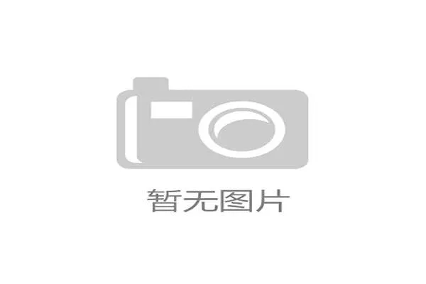 纽卡斯尔英超赛季征程焦点动态战绩分析与未来前景展望