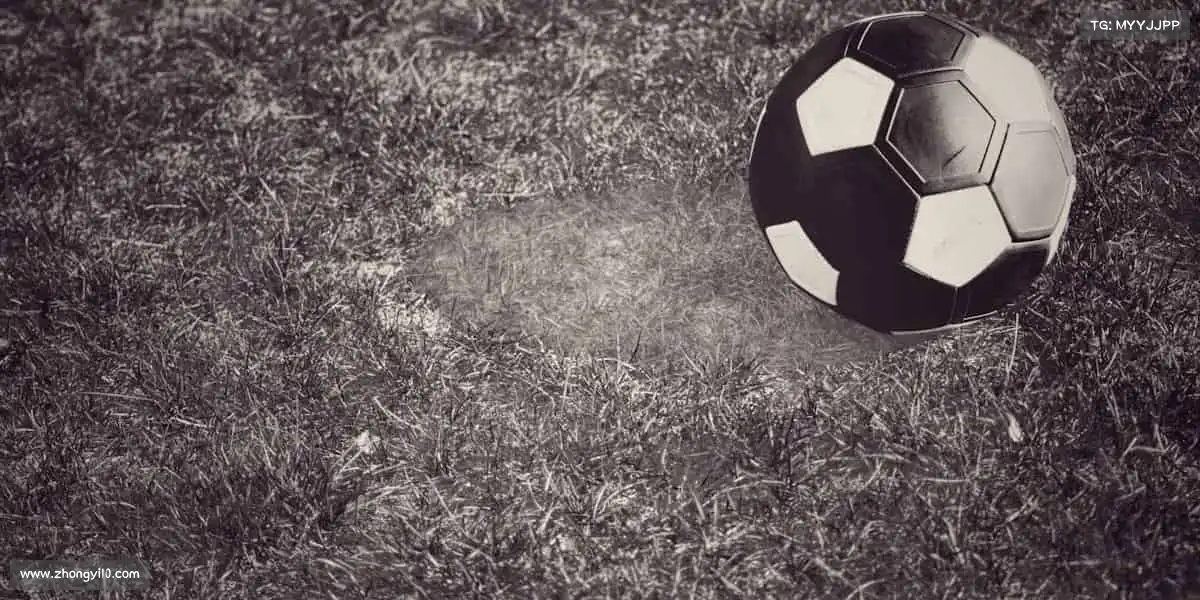 ld乐动——点燃运动激情,释放无限活力!🏋️♂️💥